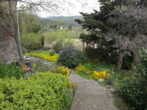 jardins-maison-le-chemin-de-ronde-le-roc-sur-l'orbieu-location-vacances-entre-Carcassonne-et-Narbonne