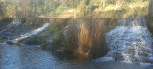 la-chaussée-baignade