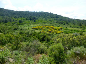 Randonnée - Gite et Location Vacances en Corbières - Le Randonnée - Roc sur l’Orbieu, entre Narbonne et Carcassonne