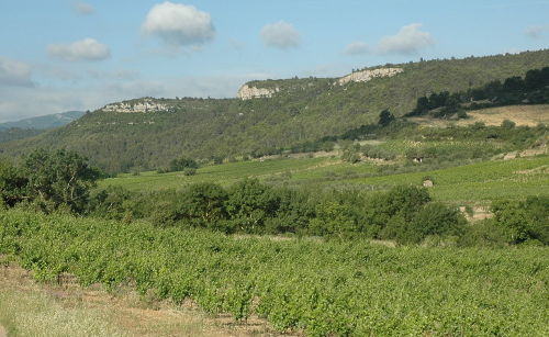 Vignoble-de-Corbieres-Gite et Location Vacances en Corbières - Le Roc sur l’Orbieu, entre Narbonne et Carcassonne